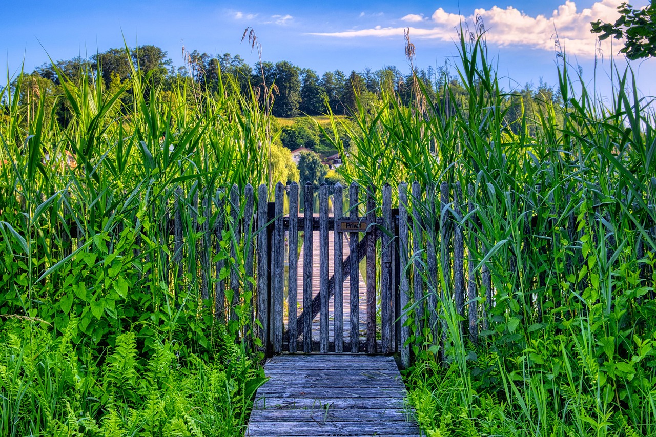 Gate Automation